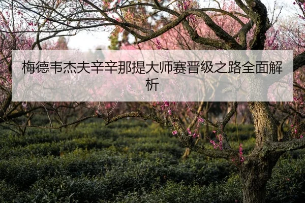 梅德韦杰夫辛辛那提大师赛晋级之路全面解析