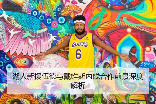 湖人新援伍德与戴维斯内线合作前景深度解析
