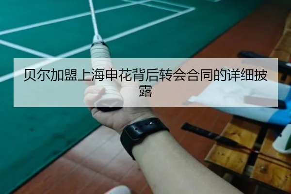 贝尔加盟上海申花背后转会合同的详细披露