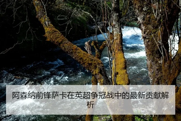 阿森纳前锋萨卡在英超争冠战中的最新贡献解析
